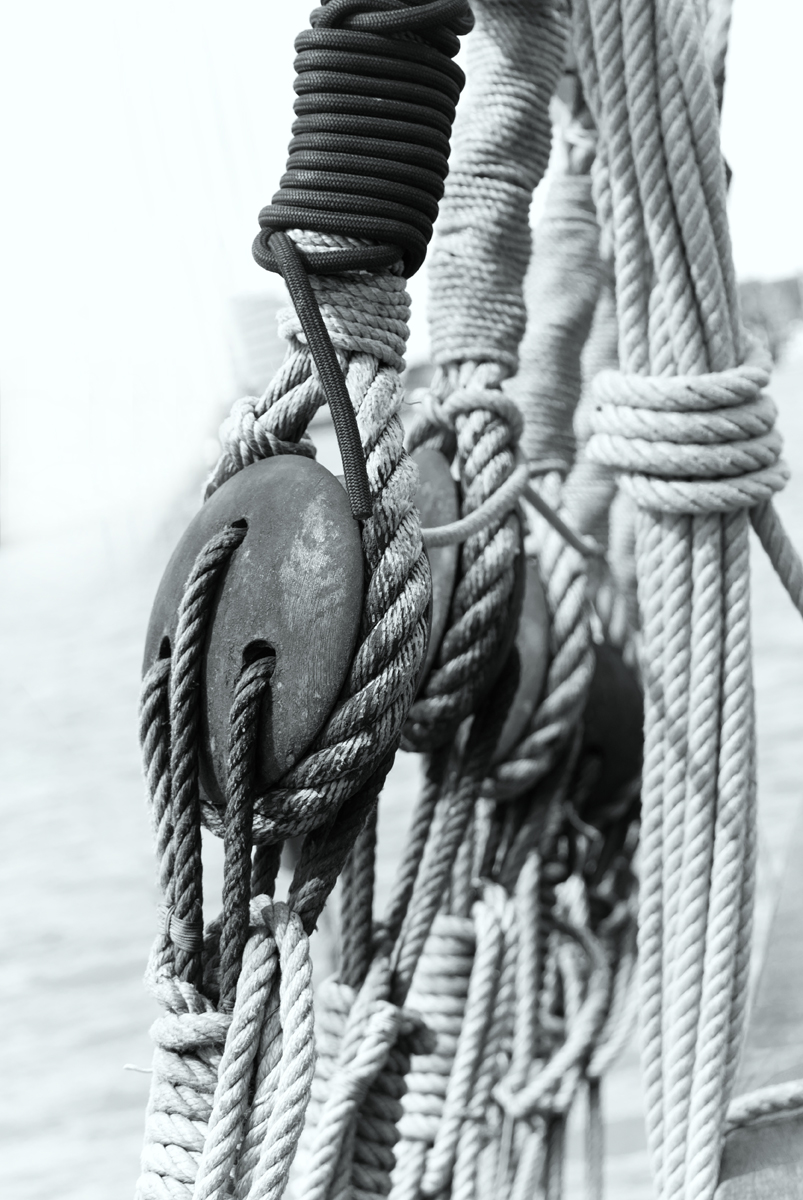 Rigging on the Santa Maria - Julie Humphries